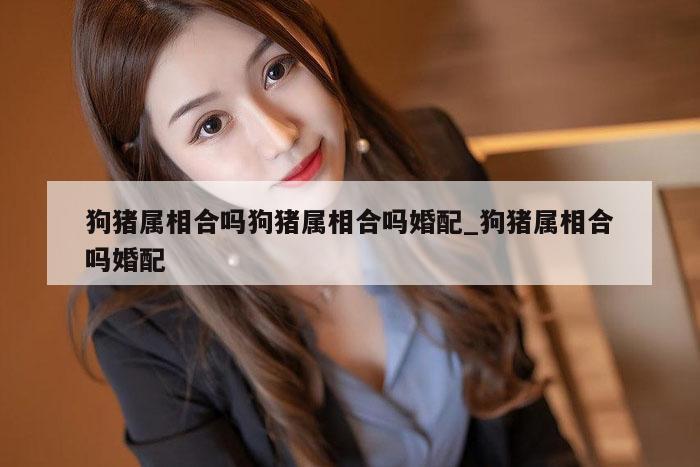 狗猪属相合吗狗猪属相合吗婚配_狗猪属相合吗婚配