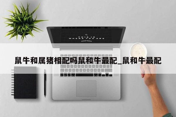 鼠牛和属猪相配吗鼠和牛最配_鼠和牛最配